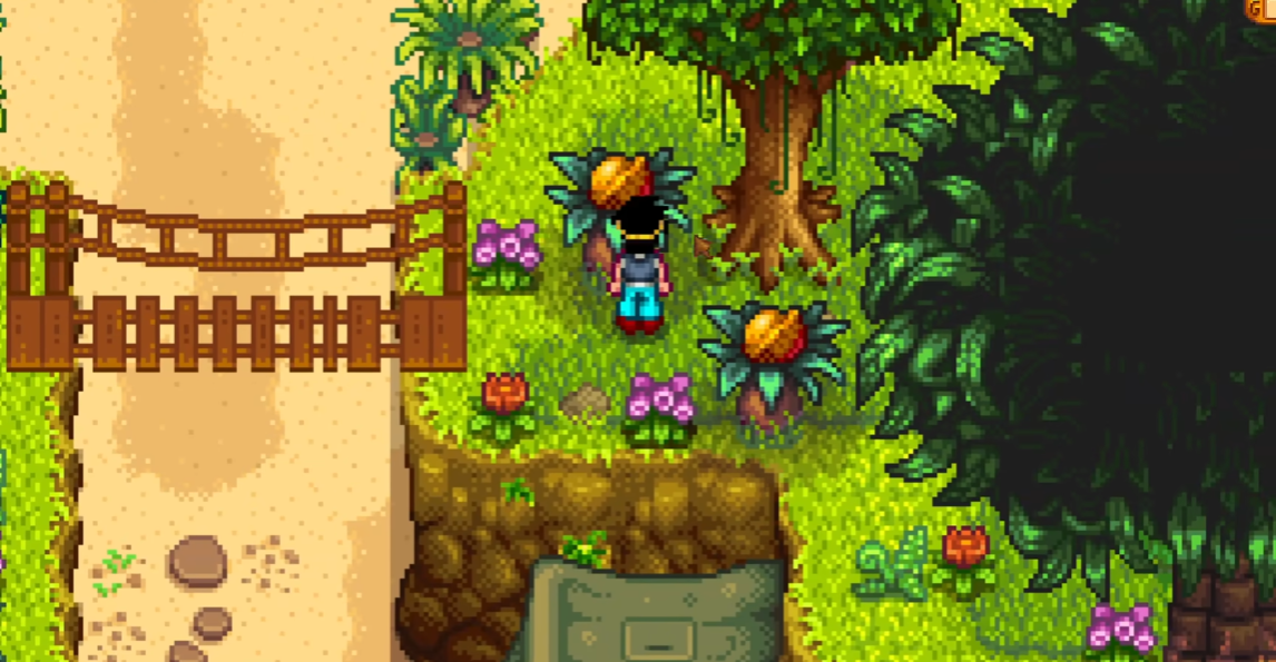 星露谷物语岛屿办事处的化石如何获取