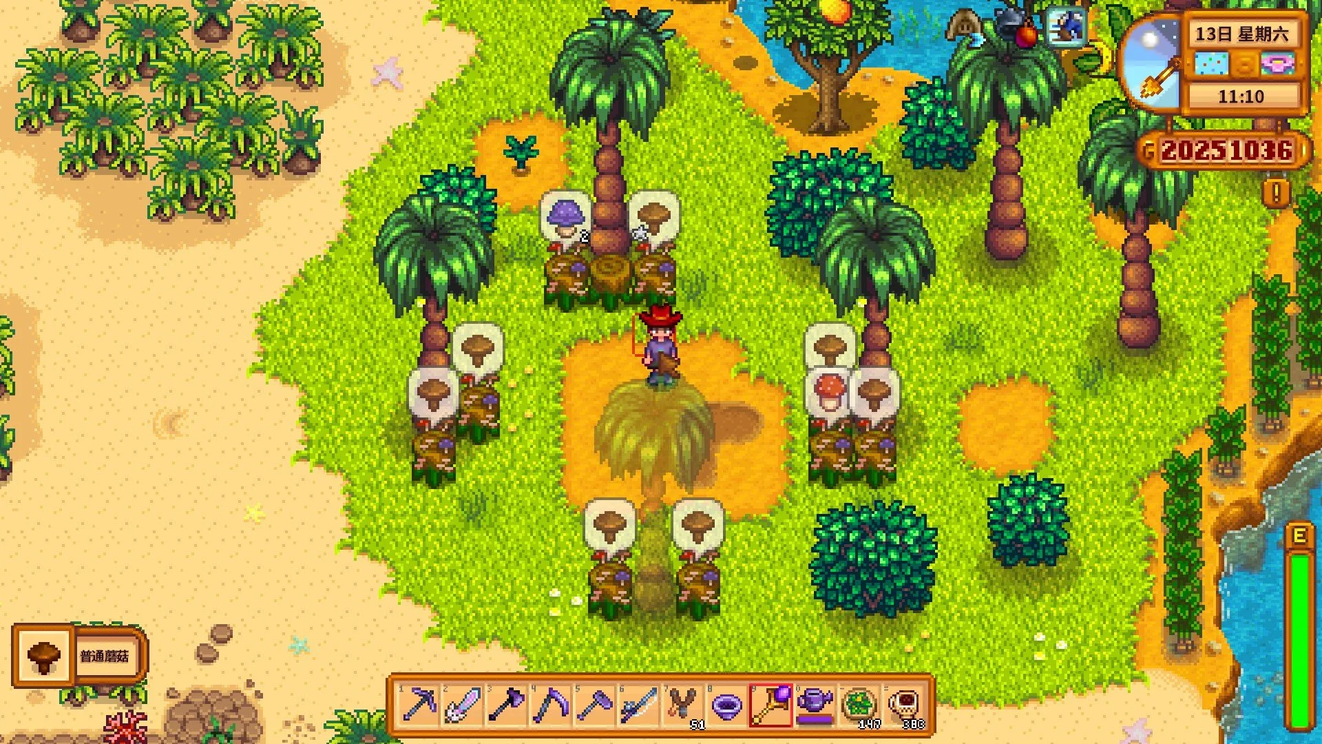 星露谷物语蘑菇树桩有什么特性