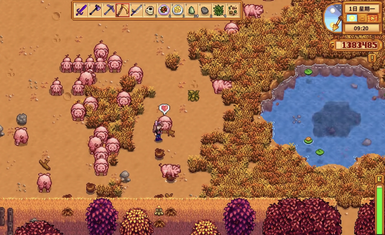 星露谷物语畜棚中猪和鸵鸟的收益怎样