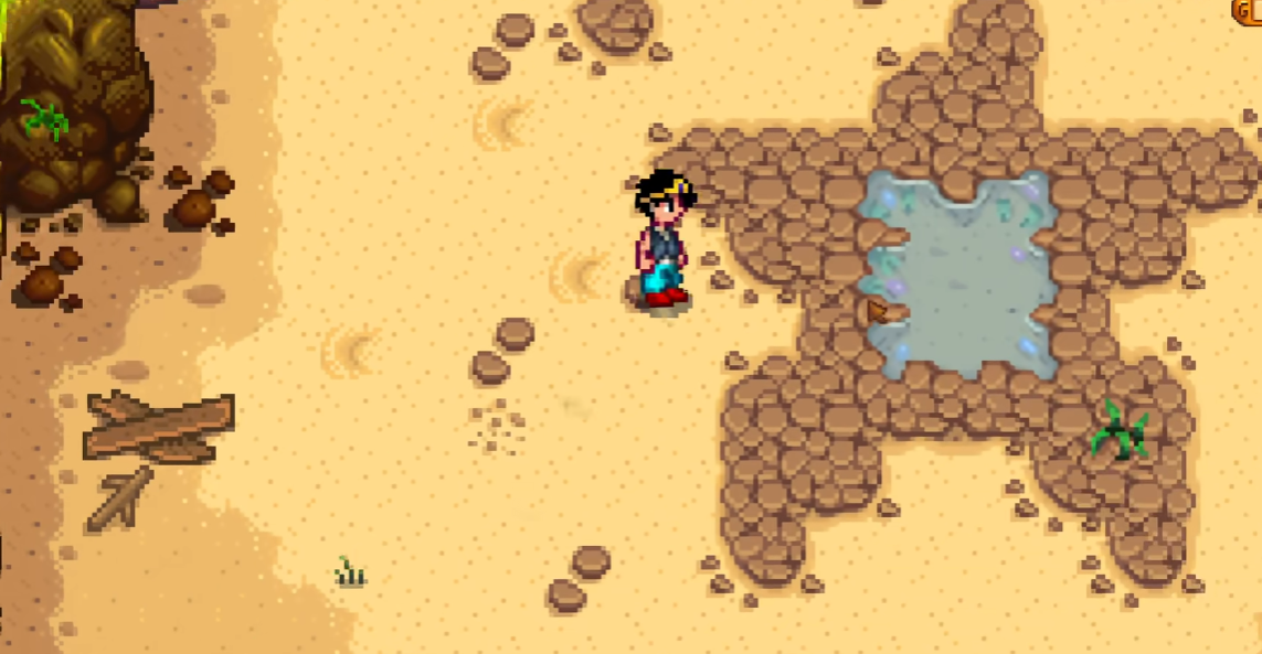 星露谷物语海盗湾有哪些玩法