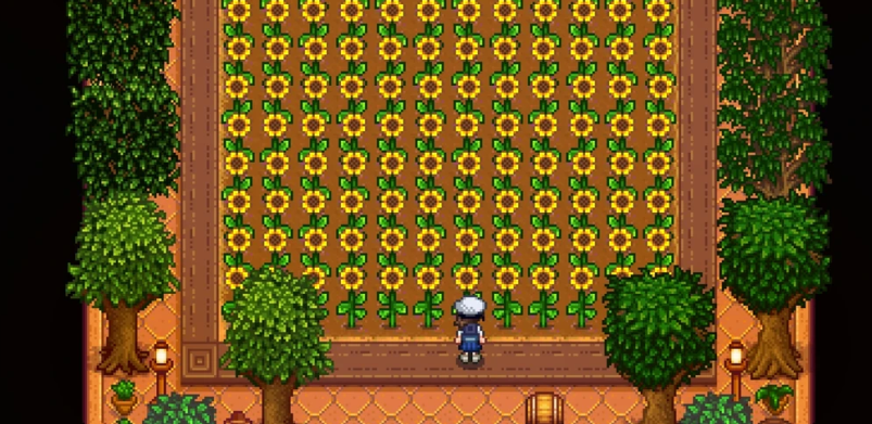 星露谷物语向日葵值得大量种植吗