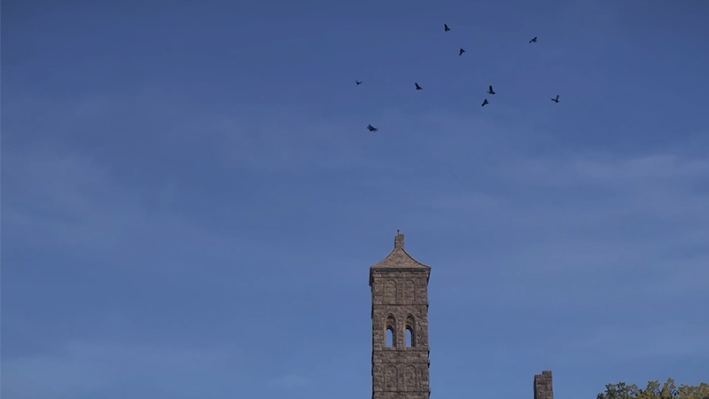 《颂钟长鸣》大型更新概览：全新生物登陆哈尔玛尔群岛