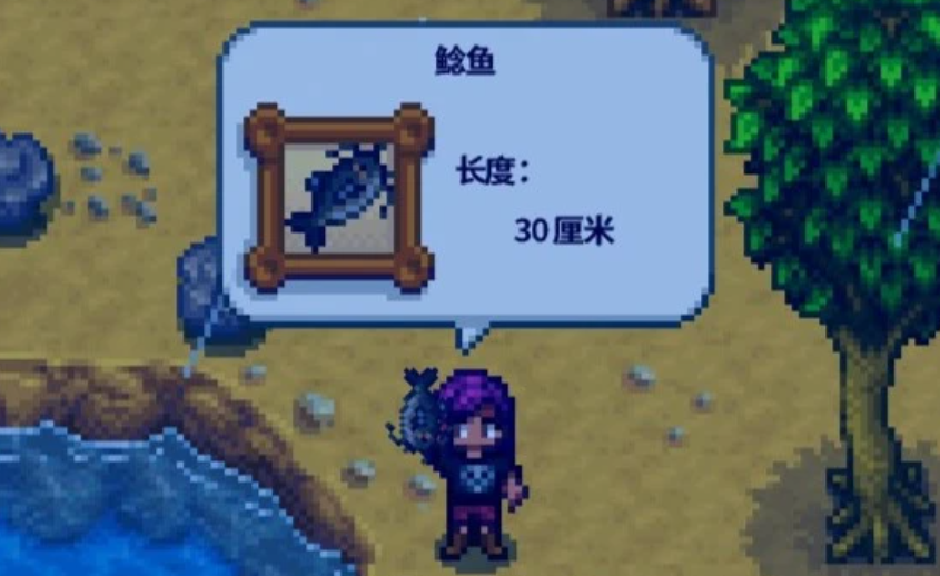 星露谷物语第一年春在哪钓鱼最好