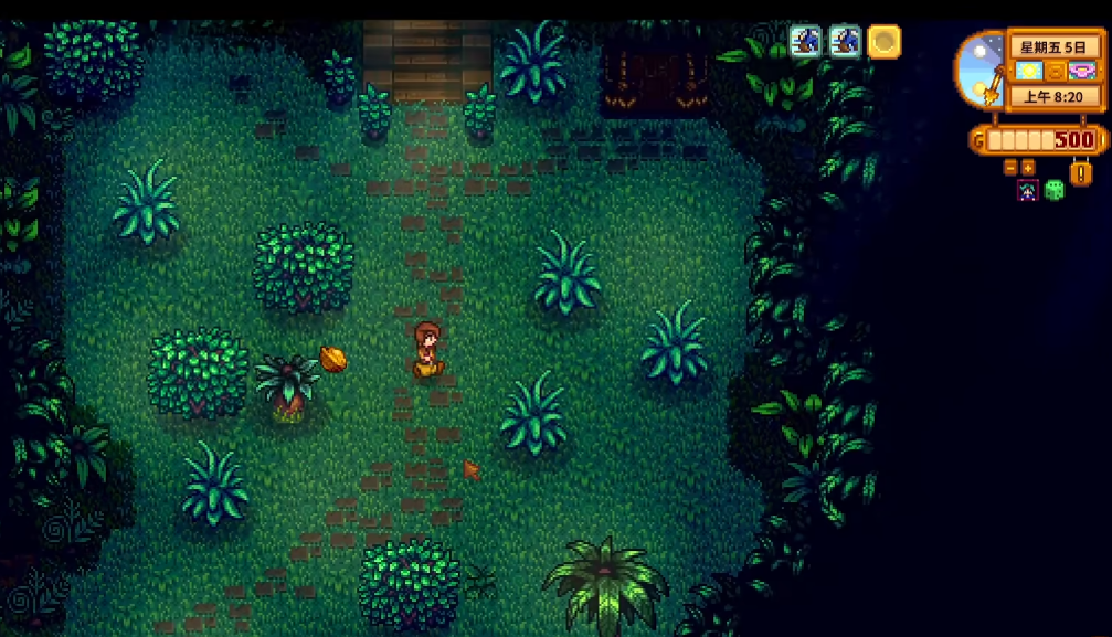 星露谷物语初次去姜岛在哪捡金核桃