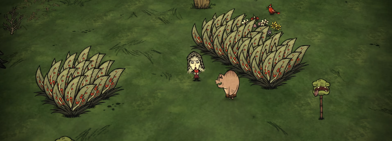 饥荒联机版哪些作物不值得移植