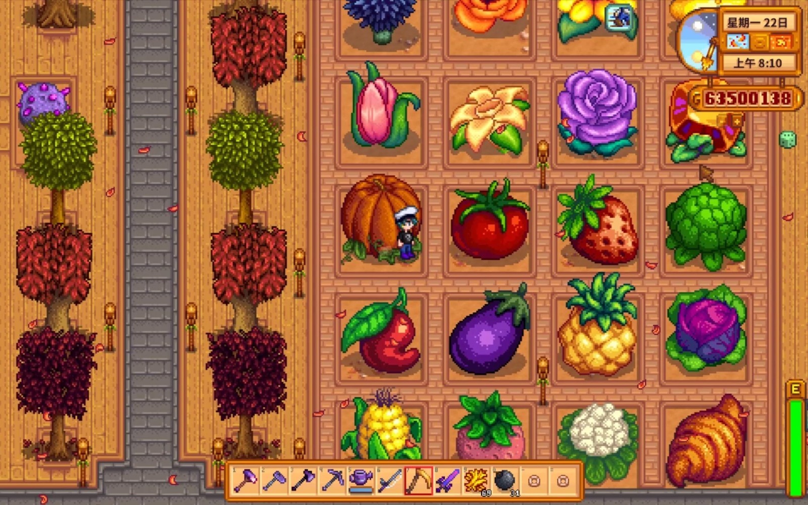 星露谷物语新手耕种知识有哪些