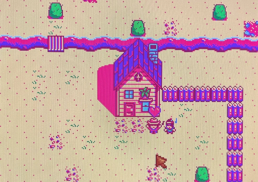 星露谷物语草原大王道具和卡槽怎么选