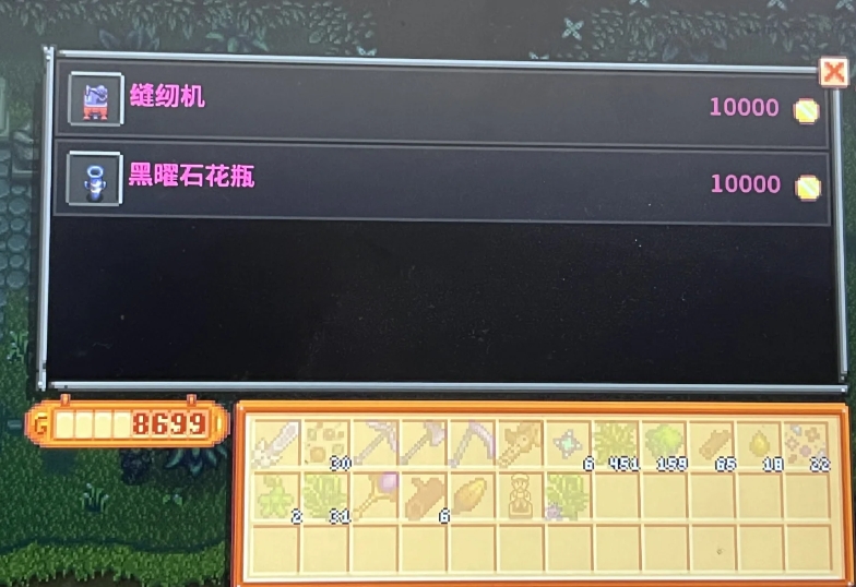 星露谷物语遗失商店里有什么