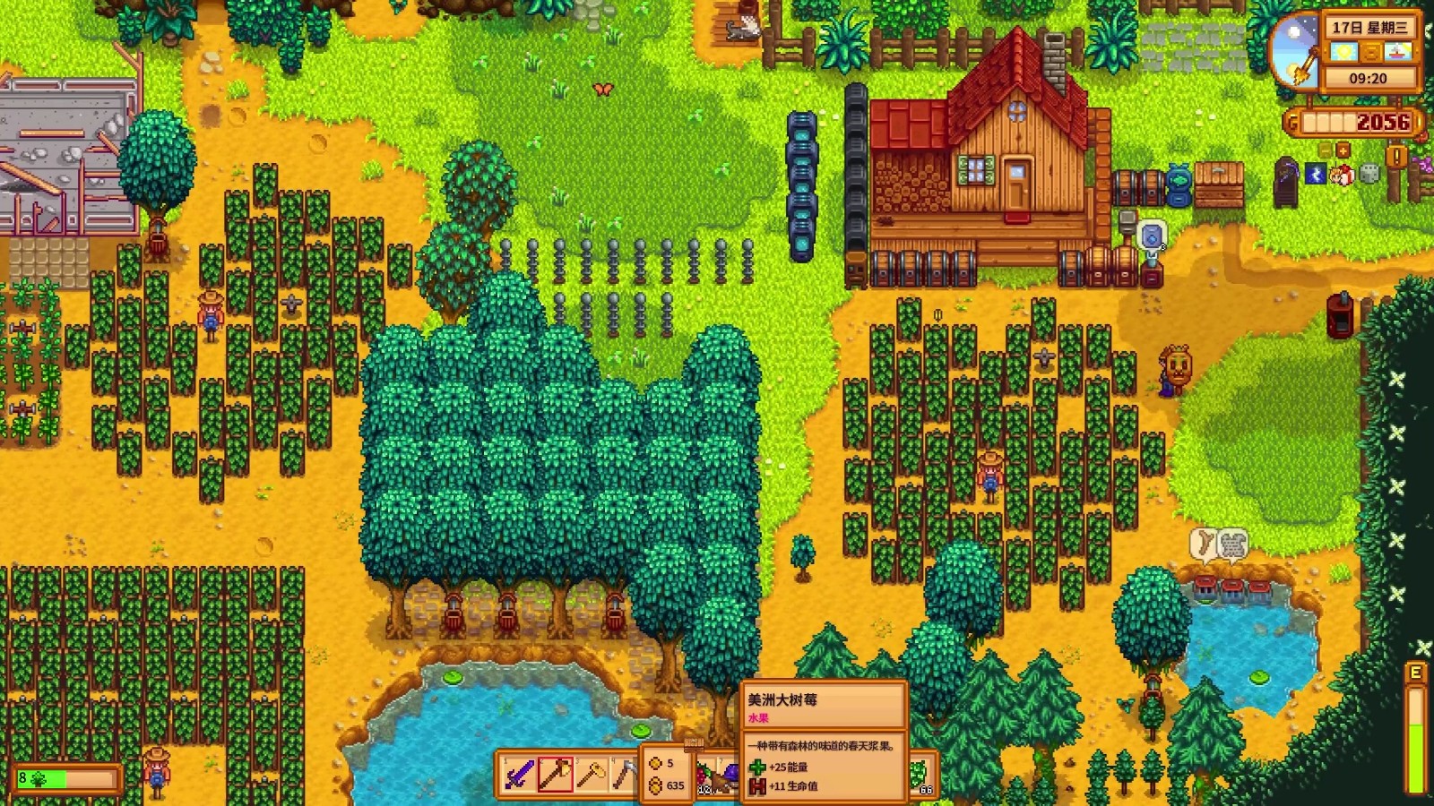 星露谷物语夏季有哪些玩法