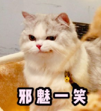《逆水寒》50万玩家赚走网易2个亿后,开始集体失眠