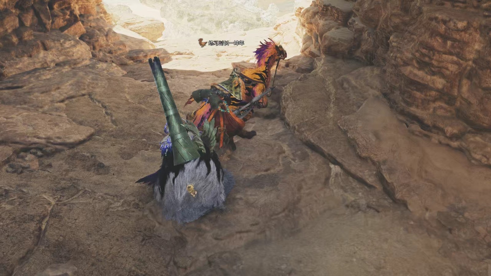 怪物猎人荒野常规联机方式有哪些