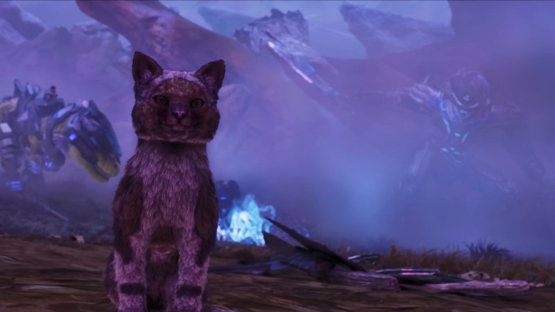《方舟生存飞升》可爱新生物“猫”上线,性格各异猫党狂喜