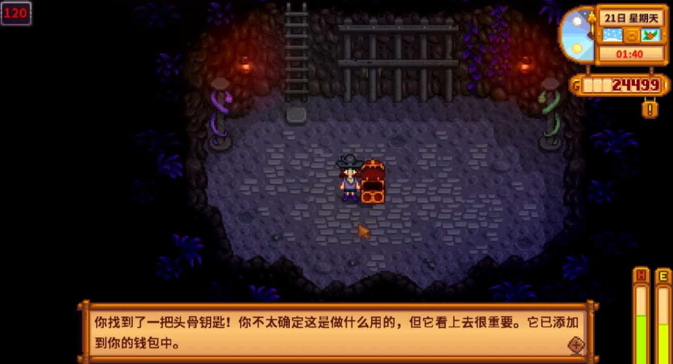 星露谷物语深山北部矿井有什么