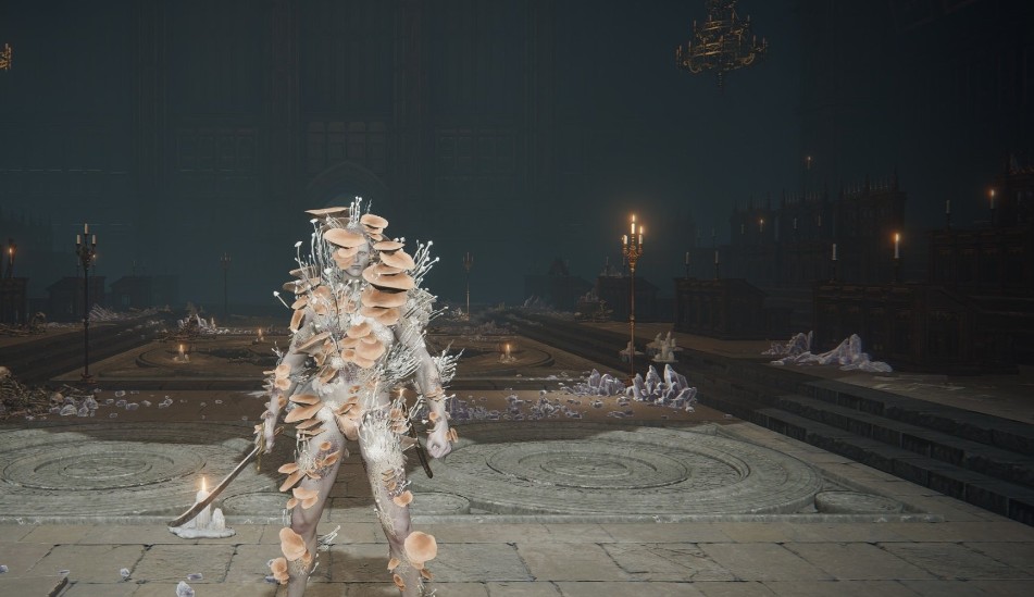 艾尔登法环防御性最高的套装有哪些