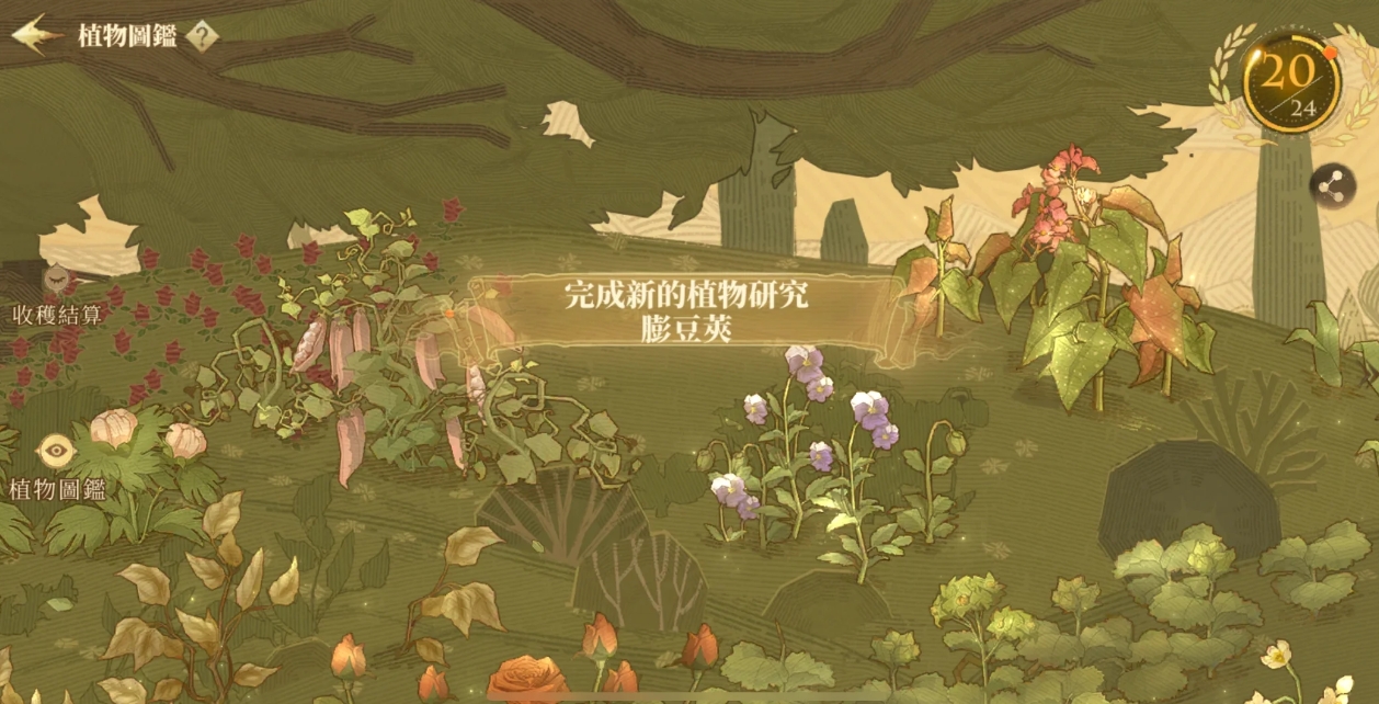 哈利波特魔法觉醒可加分的图鉴有哪些