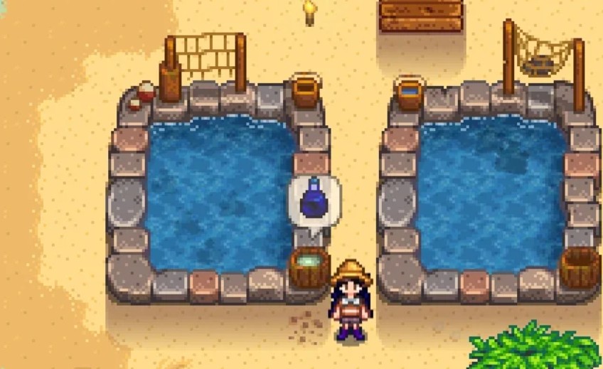 星露谷物语鱿鱼都有哪些用途 星露谷物语鱿鱼都有哪些用途