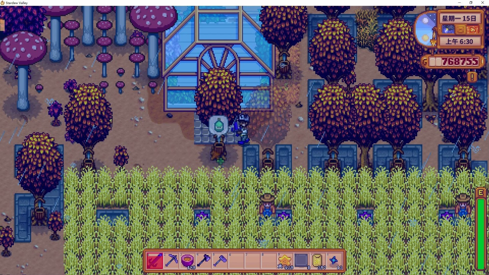 星露谷物语洒水器如何选择与摆放