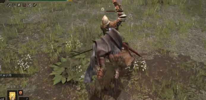 艾尔登法环有着特殊效果的套装有哪些