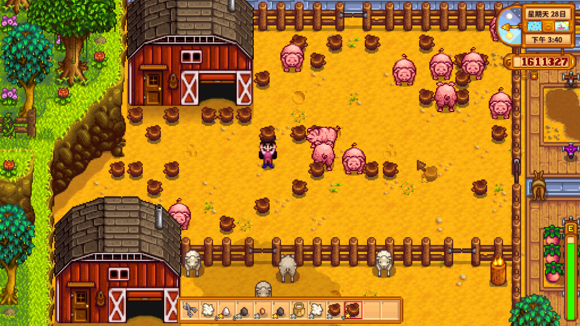 星露谷物语养猪流怎么赚钱