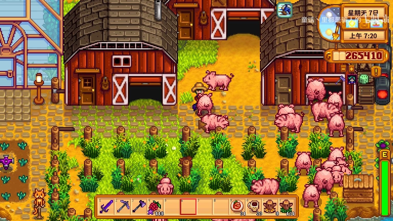 星露谷物语养猪流怎么赚钱