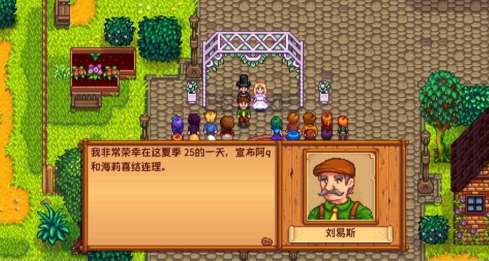 星露谷物语怎么进行婚礼的举办