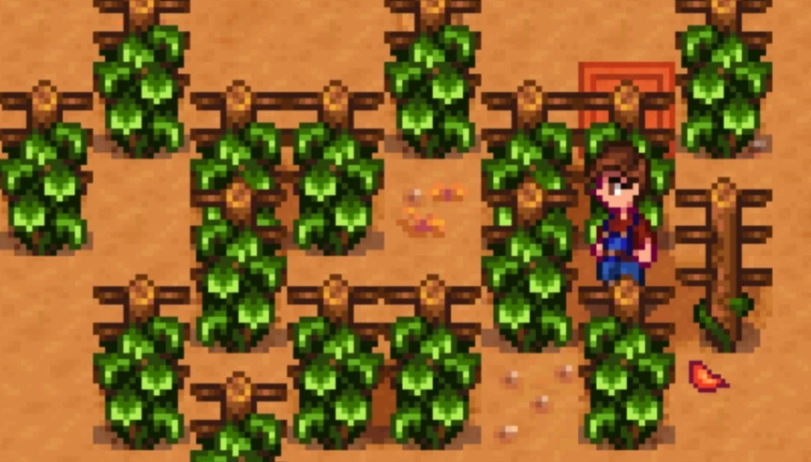 星露谷物语葡萄有哪些基础特性 星露谷物语葡萄有哪些基础特性