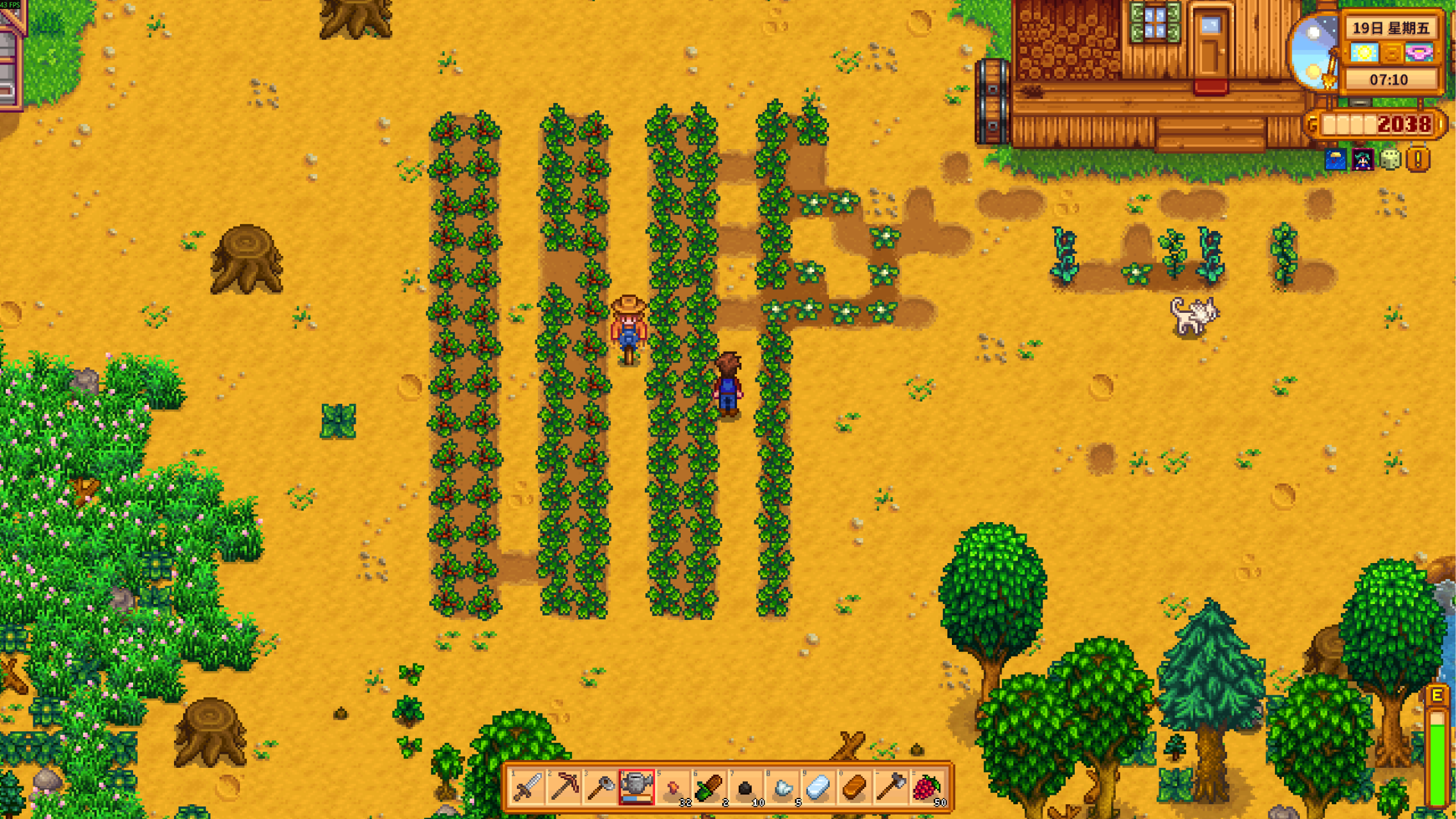 星露谷物语新手前中后期该怎么赚金