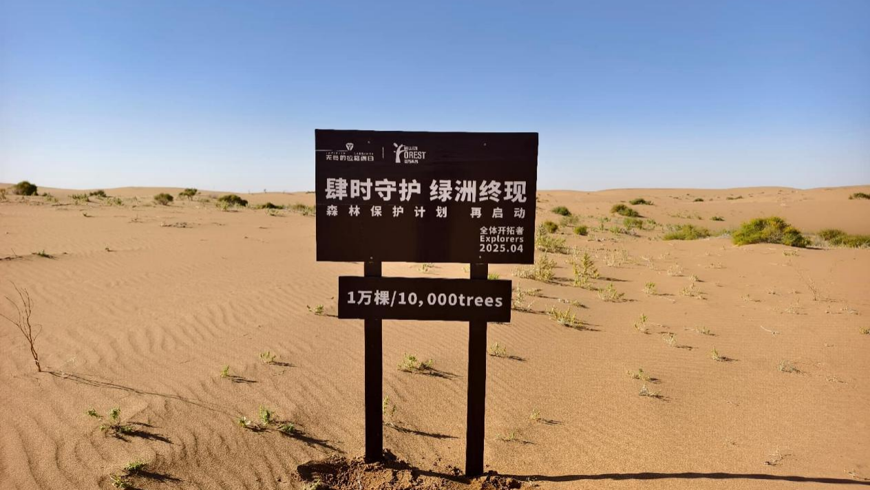 《星际猎人》2026地球日x中华恐龙园跨界联动开启