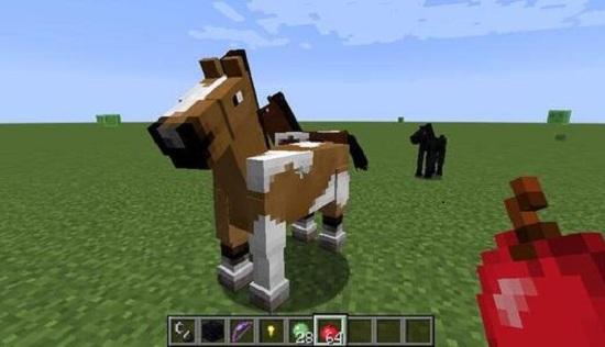 我的世界攻略我的世界马怎么繁殖我的世界马用途介绍