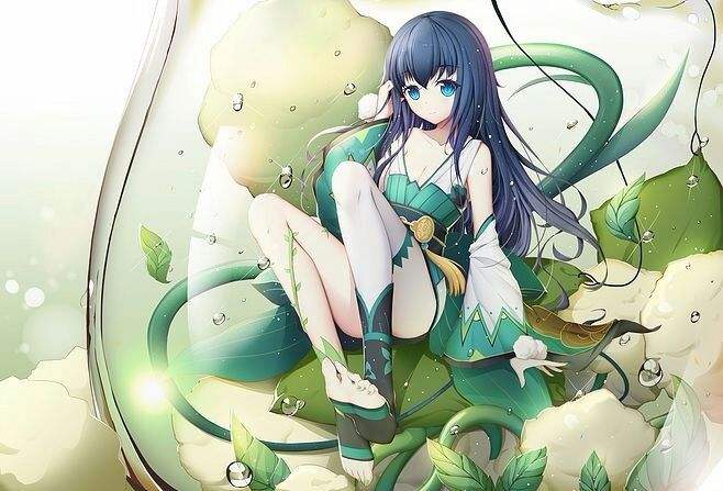 莹草带什么御魂快来看看吧